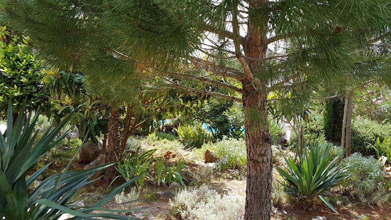 Villa Temer Pinezici (Krk)